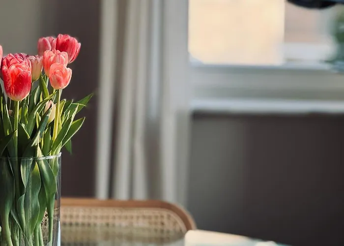 Sunny House Of Aries - Quiet & Central, Free Parking * 索波特